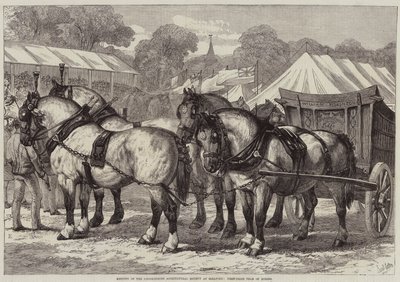 A Lincolnshire Mezőgazdasági Társaság találkozója Sleafordban, első díjas lovascsapat alkotó: Samuel John Carter