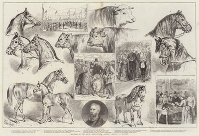 Vázlatok a Királyi Mezőgazdasági Társaság norwichi találkozóján alkotó: Samuel John Carter