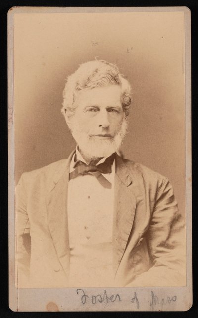 Mr. Foster Massachusettsből készült portréja, 1876 és 1880 között. alkotó: Samuel Montague Fassett