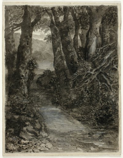 Egy erdővidéki tanulmány alkotó: Samuel Palmer