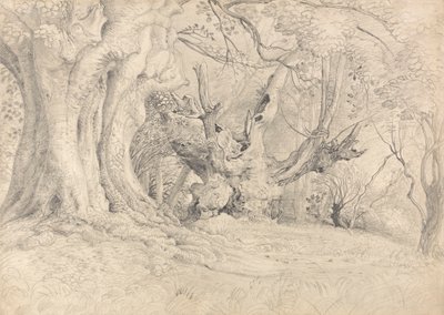 Ősi fák, Lullingstone Park alkotó: Samuel Palmer