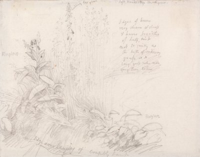 Gyűszűkesztyűk alkotó: Samuel Palmer