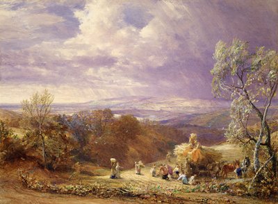 Betakarítás (wc és testszín papíron) alkotó: Samuel Palmer