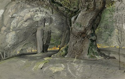 Tölgy és bükk, Lullingstone Park alkotó: Samuel Palmer