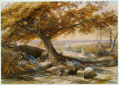 Birkák az árnyékban, 1851 körül alkotó: Samuel Palmer