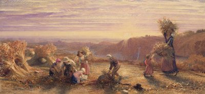 Naplemente a Gleaning Fields felett alkotó: Samuel Palmer