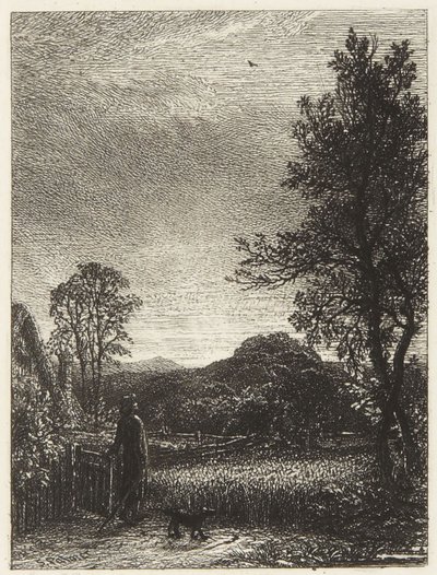 A pacsirta alkotó: Samuel Palmer
