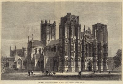The Royal Archaeological Institute at Wells, Wells Cathedral (metszet) alkotó: Samuel Read
