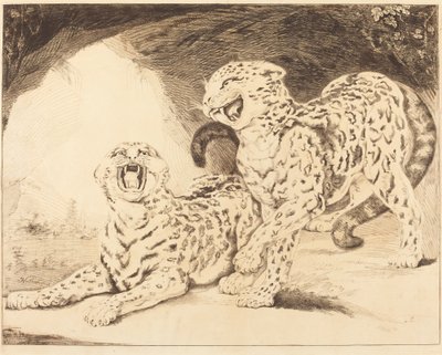 Leopárdok alkotó: Samuel William Reynolds I after James Northcote
