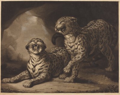 Leopárdok alkotó: Samuel William Reynolds I after James Northcote