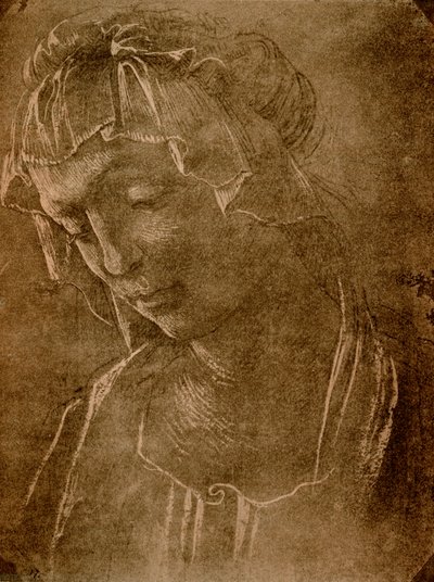 Női fej alkotó: Sandro Botticelli