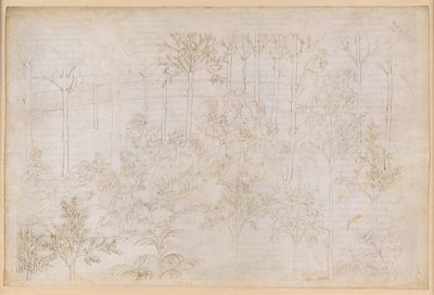A Divina Commedia, Purgatórium XXXIII. A Földi Paradicsom: Beatrice az erények körében; Indulás; Dante fürdője az Eunoe folyóban alkotó: Sandro Botticelli