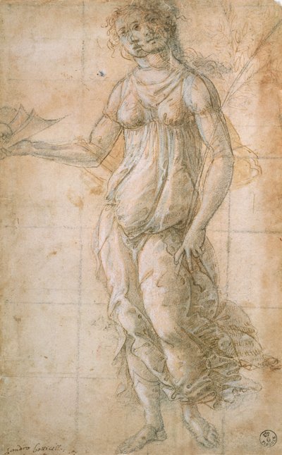 Athéné tanulmányozása (rajz) alkotó: Sandro Botticelli