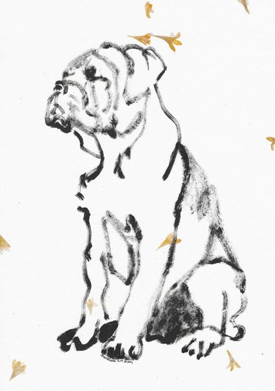Bulldogkölyök-vázlat alkotó: Santhosh ch