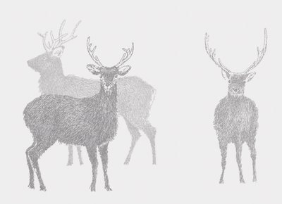 Sika Deer, 101 alkotó: Sarah Hough
