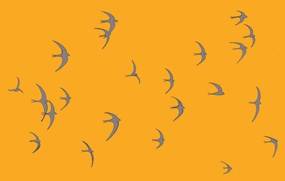Swifts, 2017 alkotó: Sarah Hough