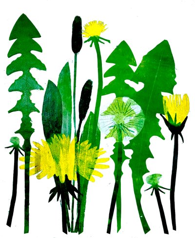 Löwenzahn, 2024 von Sarah Thompson-Engels