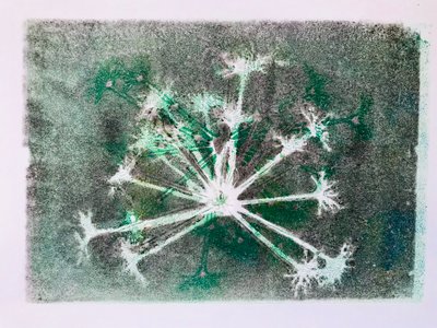 Seedhead I, 2020, (monoprint) alkotó: Sarah Thompson-Engels
