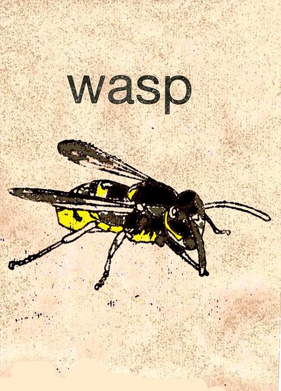 „Wasp” 2014 (monoprint) alkotó: Sarah Thompson Engels