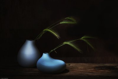 Csendes természet – Sötét fű alkotó: Saskia Dingemans