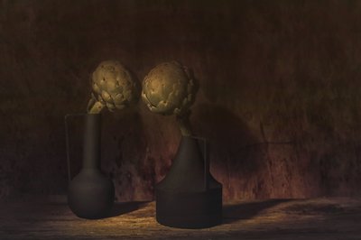 Moody Articsóka-csendélet alkotó: Saskia Dingemans