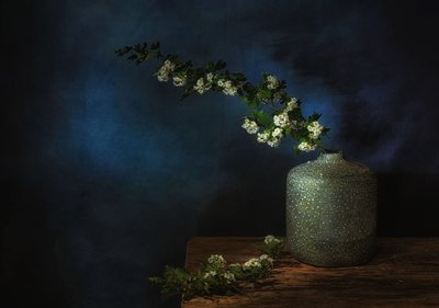 Hangulatos virágos csendélet alkotó: Saskia Dingemans