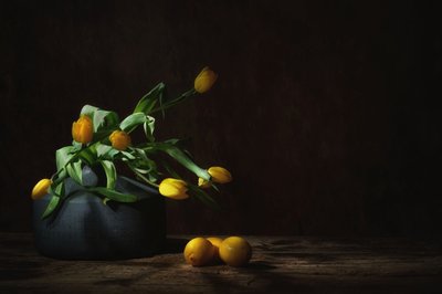 Hangulatos sárga tulipánok csendélet alkotó: Saskia Dingemans