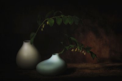Nyugodt botanikai csendélet alkotó: Saskia Dingemans