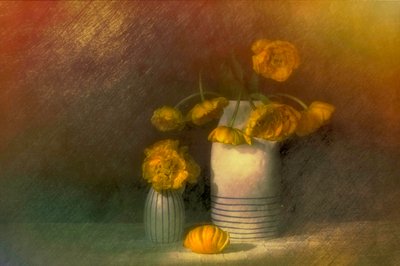 Sárga ranunculus csendélet alkotó: Saskia Dingemans
