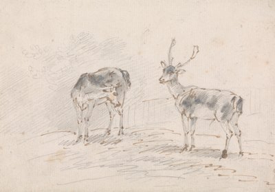 Doe és Buck alkotó: Sawrey Gilpin