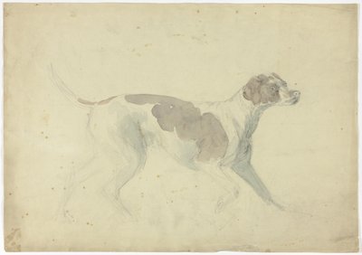 Fox Hound (recto); Vázlatok lóról és lovasról (verso) alkotó: Sawrey Gilpin