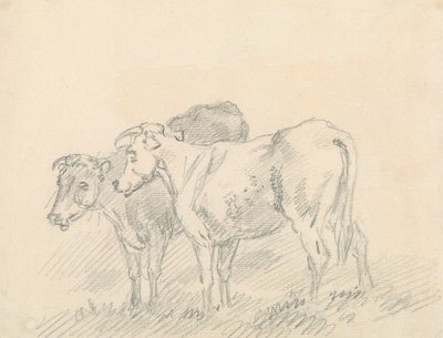 Két tehén alkotó: Sawrey Gilpin