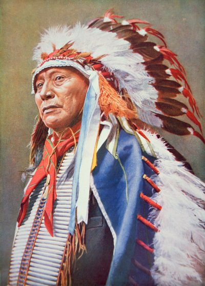 Üreges szarv medve (1850-1913) (színes litó) alkotó: School American