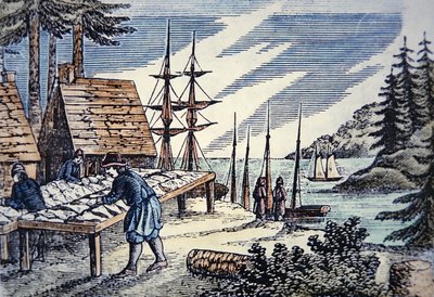 Tőkehalat szárító halászok New Englandben, egy 17. századi fametszetből (színes litó) alkotó: School American