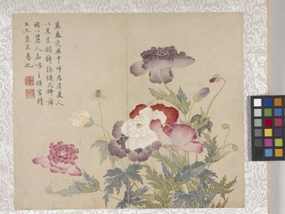 8 leveles virágalbum, 1700-as évek közepe (tinta és szín, papír) alkotó: School Chinese
