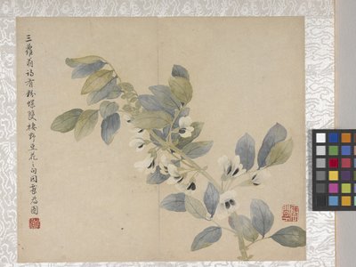 8 leveles virágalbum, 1700-as évek közepe (tinta és szín, papír) alkotó: School Chinese
