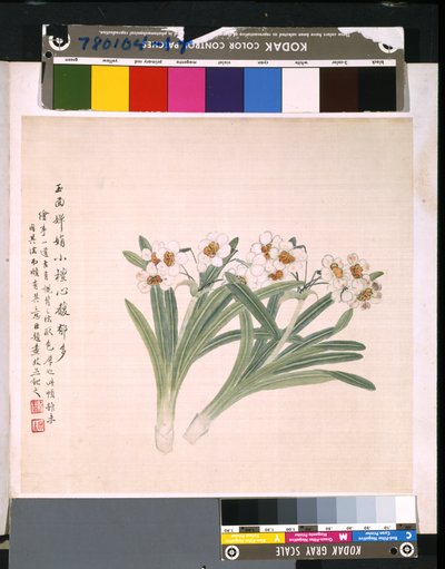 Virágok és madarak albuma, dátum ismeretlen (tus és színes selyem) alkotó: School Chinese