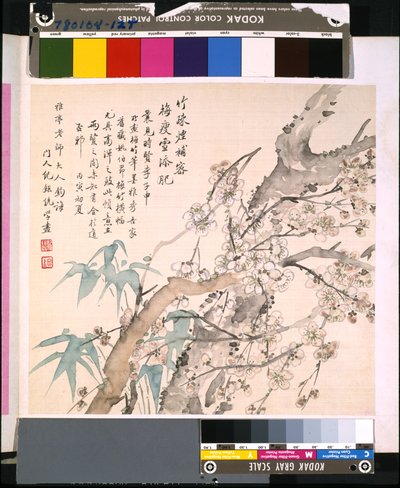 Virágok és madarak albuma, dátum ismeretlen (tus és színes selyem) alkotó: School Chinese