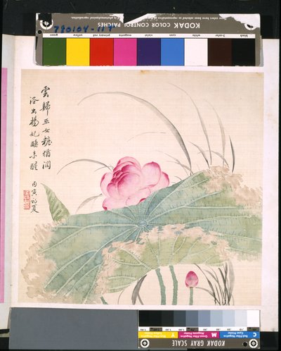 Virágok és madarak albuma, dátum ismeretlen (tus és színes selyem) alkotó: School Chinese