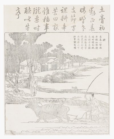 Szántás vízibivallyal sáros rizsben hántolatlan. alkotó: School Chinese