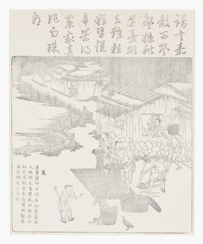 A rizs szitálása alkotó: School Chinese