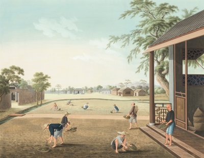 Teakészítés, 1820 körül (testfesték és aranyfesték selyemre, papírra fektetve) alkotó: School Chinese