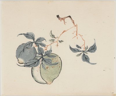 Ten Bambusz sorozat alkotó: School Chinese