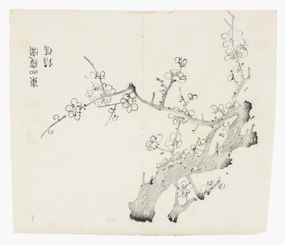 Tíz bambusz sorozat alkotó: School Chinese