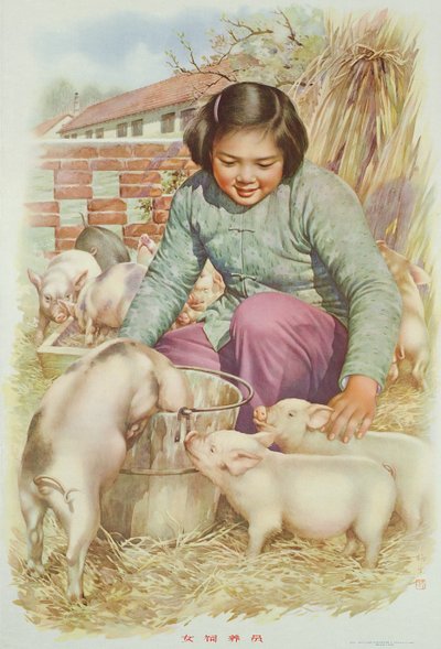 Női sertéstenyésztő (vagy sertéstartó), propagandaplakát a kínai kulturális forradalom idejéből (színes litográfia) alkotó: School Chinese