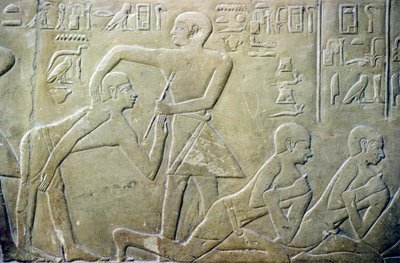 Ókori Egyiptom, Relief, Falusi vének kénytelenek beismerni hibás adóbevallásukat a hivatalnokoknak, Merereuka sírja, 6. din (fotó) alkotó: School Egyptian