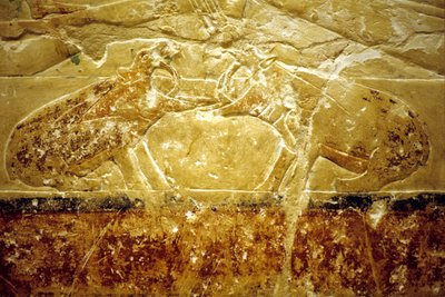 Ókori Egyiptom, Falfestmény, Mastaba/Tomb of Idout, Szakkara, 6. dinasztia, Két víziló harcol (fotó) alkotó: School Egyptian