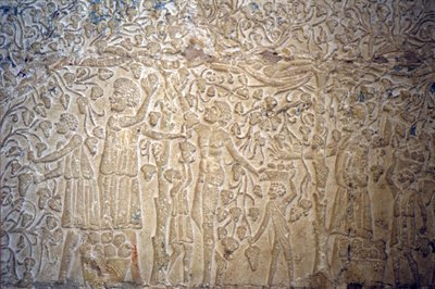 Ókori Egyiptom, falfestés, , Petosiris sírja, Tuna el Gebel, Kr. e. 300, Szőlőszedés a borkészítéshez (fotó) alkotó: School Egyptian