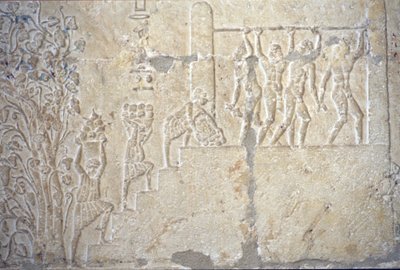 Ókori Egyiptom, Falfaragás/festés, Petosiris sírja, Tuna el Gebel, ie 300, Borszüret, Borkészítés, Borprés (fotó) alkotó: School Egyptian