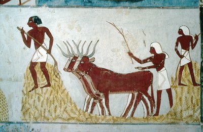 Luxor, Théba: Nakht sírja. Mezőgazdasági jelenet. A nemesek völgye. alkotó: School Egyptian